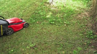 Bahçe işleri ve ekipmanlar. Çim biçme makinesi kullanan işçiler