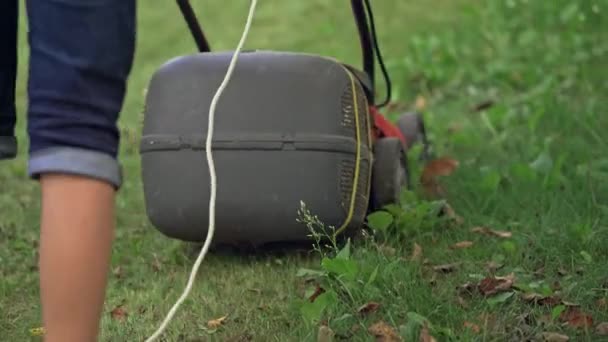 Tuinieren Met Grasmaaier Close Details Van Landschapsarchitectuur Tuinieren — Stockvideo