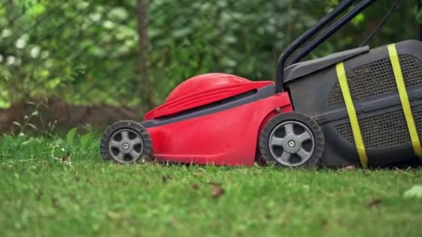 Grasmaaien Met Grasmaaier Grasmaaier Aan Het Werk Groene Weide — Stockvideo