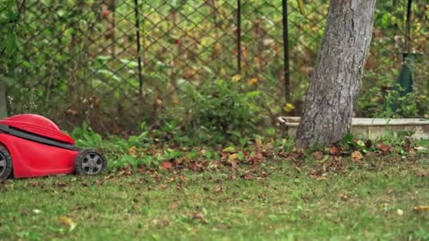 Man Lawn Mower Close View Mower Cutting Grass — Stock Video