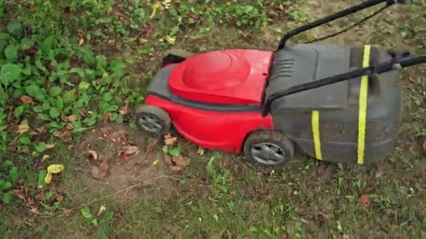 赤い芝生の芝刈り機草 芝刈り機で芝を刈る風景 — ストック動画