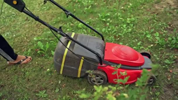 庭の世話をする 芝刈り機で草を切る — ストック動画