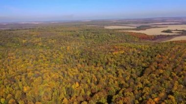 Sonbahar ormanının havadan görünüşü. Gökyüzünden renkli ağaçlarla dolu güzel orman manzarasının insansız hava aracı görüntüsü