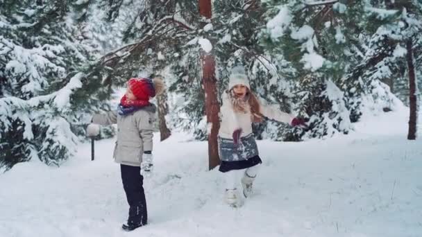 自然の中で冬の子供 雪と一緒に遊んでいる幸せな子供たち 屋外の冬の休暇 — ストック動画