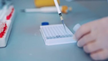 Bilim laboratuarı araştırması. Bilim adamlarının görüntülerini kapat ve örnekleri incele.