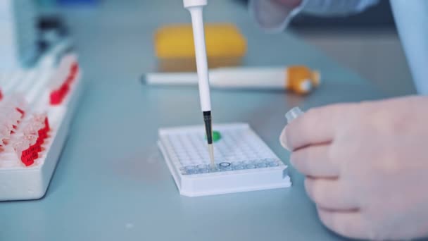 Científico Trabajando Laboratorio Primer Plano Investigación Científica Proceso Laboratorio — Vídeo de stock