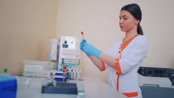 科学技術医学 化学実験室で働く若い女性科学者と生化学実験室のサンプルを調べる — ストック動画