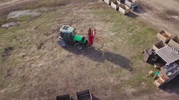 果樹園でリンゴの果物を収穫する りんご園を走るトラクターやりんご狩りの農民の空中風景 — ストック動画