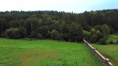 Drone 'dan Orman Manzarası. Çam ormanının tepesindeki güzel hava manzarası