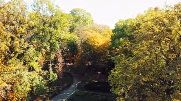 Pohled Uličku Rekreačního Parku Letecký Pohled Městský Park Pěší Stezkou — Stock video