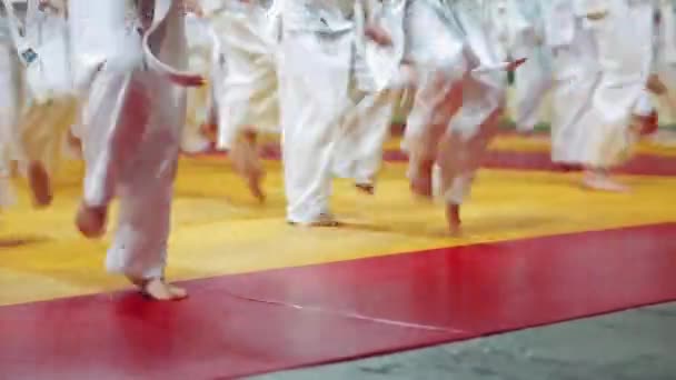 Des Enfants Entraînement Arts Martiaux Les Jeunes Enfants Kimono Exécutent — Video