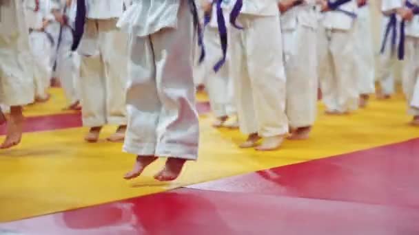 Jungen Beim Training Sporthalle Kinder Probieren Neue Kampftechniken Der Praxis — Stockvideo