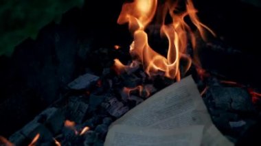 Güzel sıcak bir akşam. Kamp sırasında ormandaki ateş manzarasını kapatın.