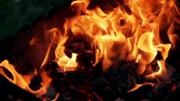 Feuer Freien Großes Leuchtend Orangefarbenes Lagerfeuer Brennt Draußen — Stockvideo