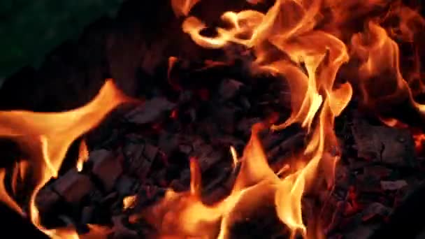 燃えさかるたき火のショットを閉じます キャンプ場で熱と光を提供する焚き火 — ストック動画