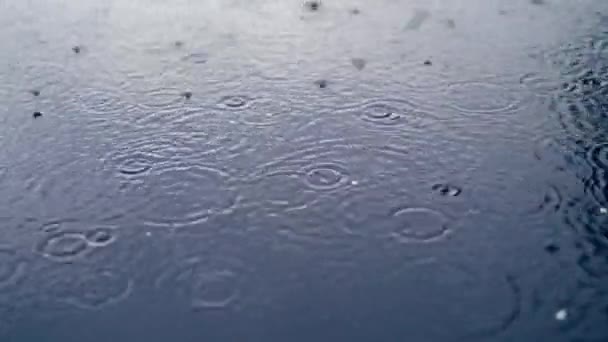 水面に水が落ちる 水面に落ちる雨滴からの波紋 — ストック動画