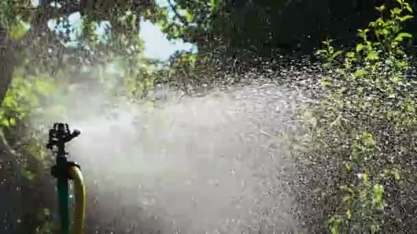 Sprinklerslang För Bevattningsanläggningar Närbild Sprinkler Sprutning Vatten Över Grön Trädgård — Stockvideo