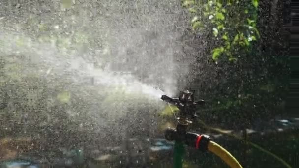 Einrichtung Eines Bewässerungsgartens Bewässerung Des Grünen Rasens Mit Sprinkleranlage — Stockvideo