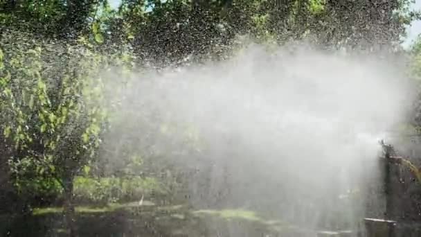灌漑庭園の近代的な装置 芝生の水スプリンクラーは庭の芝生の緑の新鮮な草に水を噴霧 — ストック動画