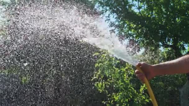 緑の庭での農家の散水植物 緑の庭を背景にウォーターホーススプリンクラー — ストック動画