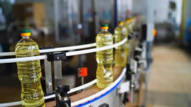 Industria Dell Imbottigliamento Dell Olio Produzione Industriale Olio Girasole — Video Stock