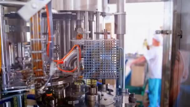 Fábrica Aceite Girasol Transportador Para Producción Alimentos Aceite Girasol — Vídeo de stock