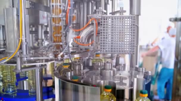 ひまわり油の瓶詰めライン 工場設備を背景に植物油の入った瓶 — ストック動画