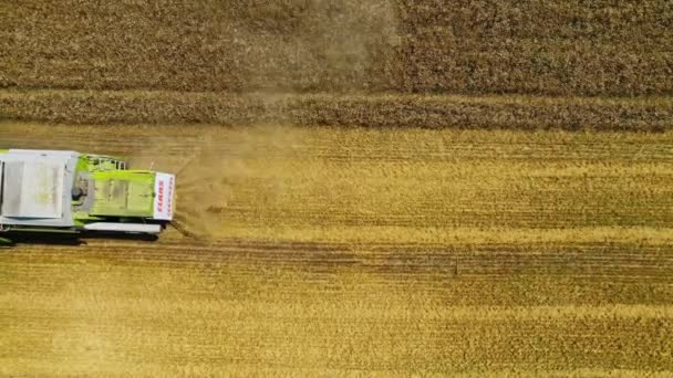 在收获田里联合起来 大麦田联合耕作的空中观 — 图库视频影像