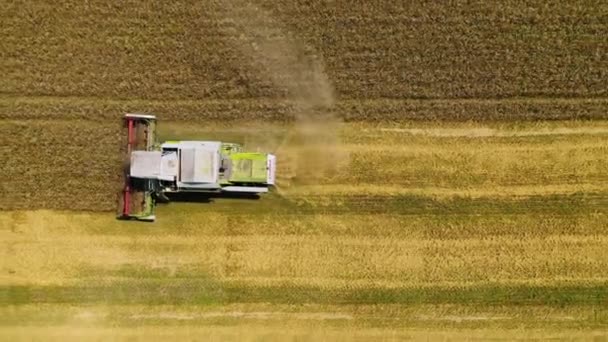 作業組み合わせのトップビュー 収穫者との農地の空中ビュー — ストック動画