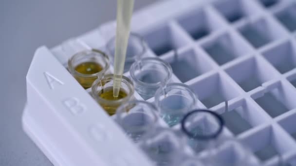 Sprzęt Medyczny Badań Krwi Formularz Wypełnienia Wyników Badań Biochemii Krwi — Wideo stockowe