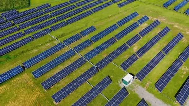 Drohnenflug Über Solarfeld Luftaufnahme Einer Leistungsstarken Station Mit Sonnenkollektoren Die — Stockvideo