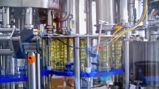 Planta Producción Aceite Girasol Botellas Llenas Aceite Girasol Través Tubos — Vídeos de Stock