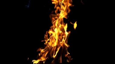 Gece karanlığında yanan parlak kamp ateşi. Büyük turuncu alev siyaha doğru ilerliyor. Yavaş çekim