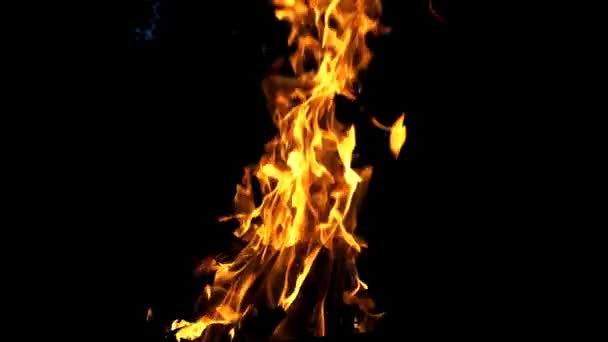 明亮的营火在黑暗的背景上燃烧 巨大的橙色火焰在黑色上移动 慢动作 — 图库视频影像