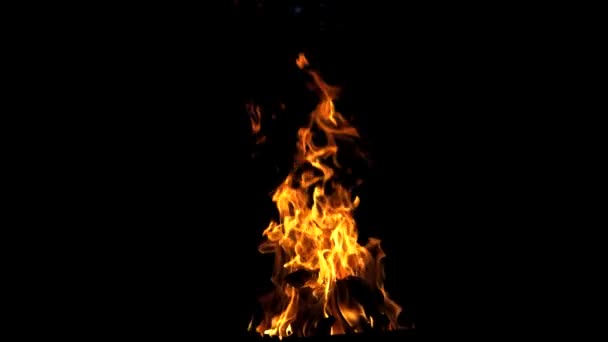 Огонь Горит Замедленной Съемке Изолирован Тёмном Фоне Прекрасное Пламя Бревнами — стоковое видео