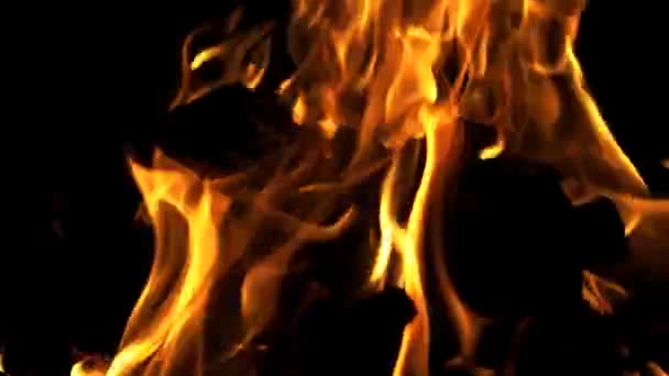 어두운 배경에서는 통나무들이 불타고 있습니다 불꽃이 솟아오르고 있습니다 클로즈업 — 비디오