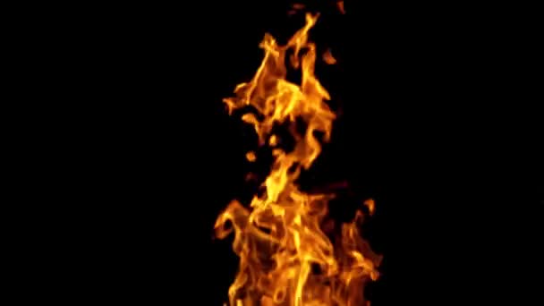 色彩艳丽的火焰之舞在黑色的背景上被隔离开来 漆黑的夜晚 橙色火焰从燃烧的火中缓缓移动 — 图库视频影像