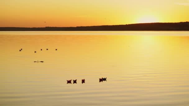 在橙色的夕阳西下 漂浮在平静的河上的纸船的美丽图片 晚上水面上的自制折纸船 — 图库视频影像