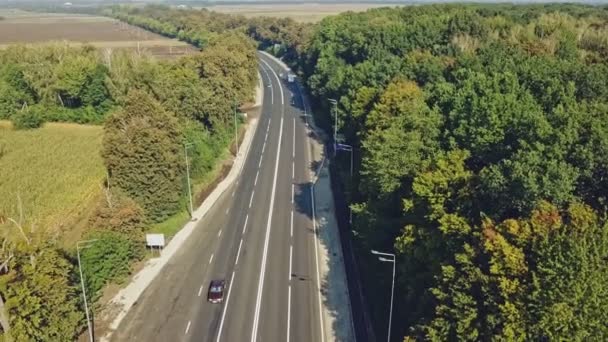 Cars Move Highway Road Surrounded Green Trees Sunny Day Flying — Stock Video