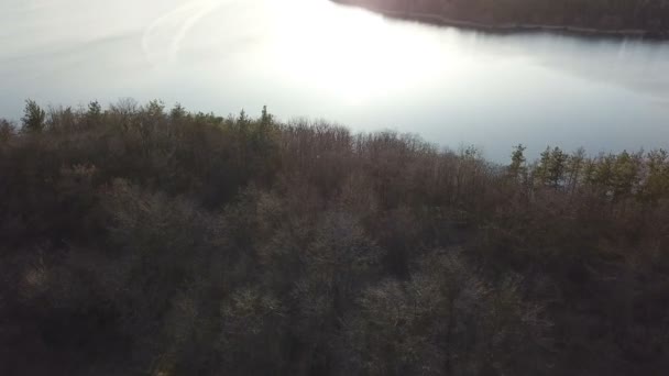 Paysage estival du champ avec herbe verte qui roule dans une forêt avec de hauts conifères et une large rivière de vue aérienne. Motion de caméra pour transmettre .