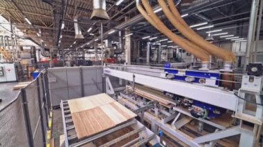 Hızlı otomatikman, hayatlarının devamı için tahtadan bir yüzey oluşturur. Ahşap fabrikası. Yakın plan..