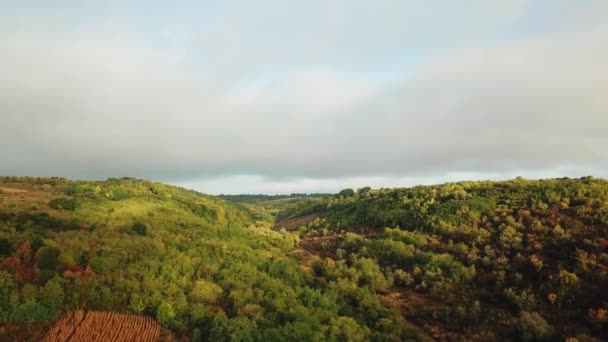 Bela Vista Natural Florestas Verdes Colinas Campos Sob Céu Nublado — Vídeo de Stock