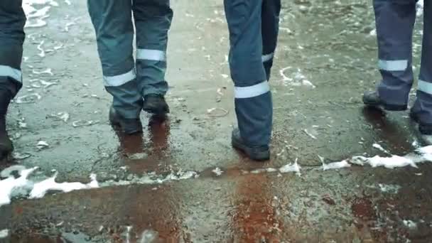 Čtyři Dělníci Šedé Uniformě Vodorovným Bílým Pruhem Kalhotách Kráčejí Asfaltu — Stock video