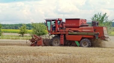 Bir çiftlikte hasatçı hasadı olgunlaşmış buğdayı birleştirin