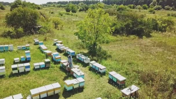 Ein Drohnenflug Zeigt Einen Imker Der Honig Aus Bienenstöcken Erntet — Stockvideo