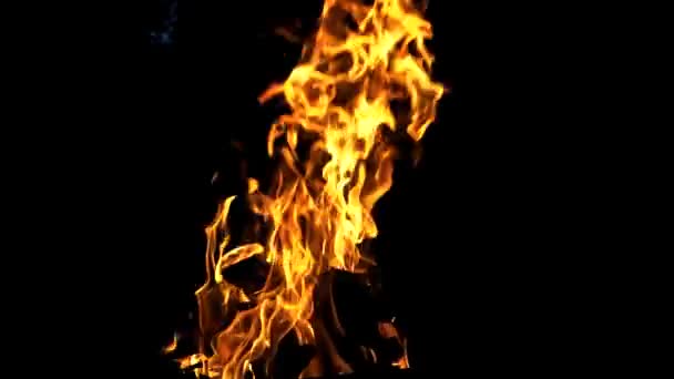 Lagerfeuer Das Feuer Wird Der Nacht Entzündet Zeitlupe — Stockvideo