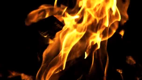 Madera Ardiendo Cámara Lenta Hoguera Fuego Enciende Noche — Vídeo de stock