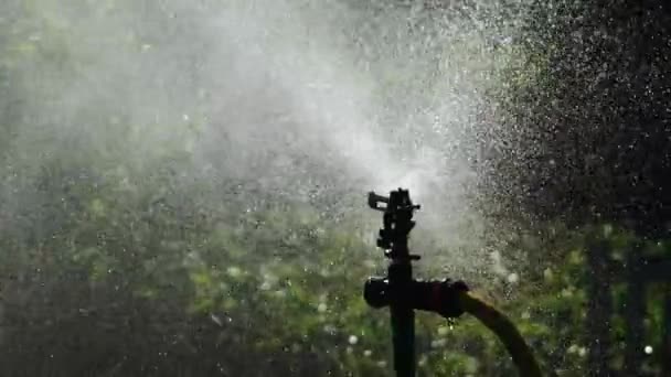 Система Полива Опрыскивает Траву Саду Водой Slow Motion — стоковое видео