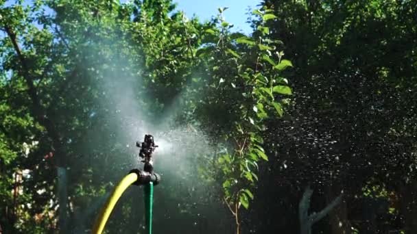 Irrigation Equipment Automatic Watering System Plants Slow Motion — Stock Video