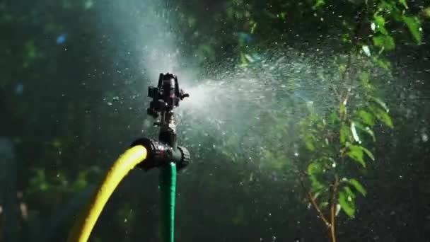 Vattnar Det Gröna Gräset Glittrande Vatten Sprutar Sprinklern Den Gröna — Stockvideo